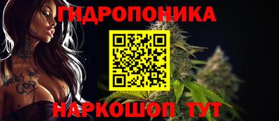шишки Камышлов