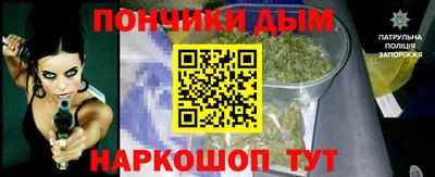 шишки Камышлов