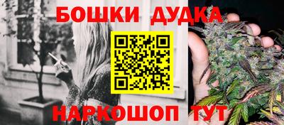 шишки Камышлов
