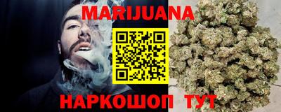 шишки Камышлов