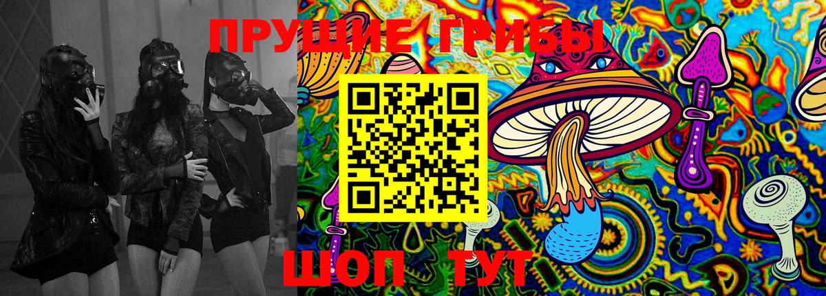 Галлюциногенные грибы MAGIC MUSHROOMS  Псилоцибиновые грибы мухоморы  купить наркотики цена  Туапсе  Вход с VPN 