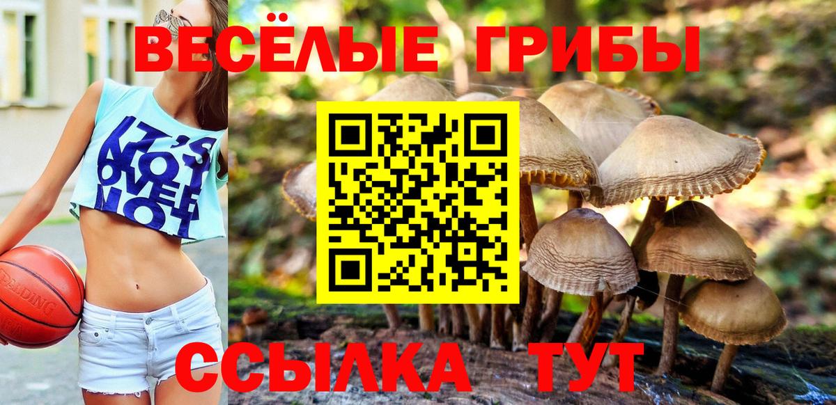 Псилоцибиновые грибы ЛСД Туапсе
